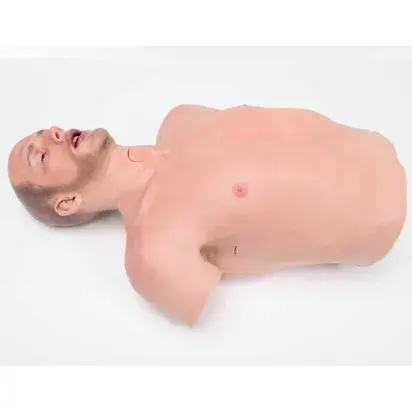 EMS-Torso 1