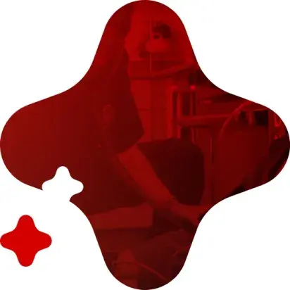 Circulación y control de sangrado