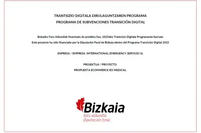 Subvenciones Transición Digital 2025,