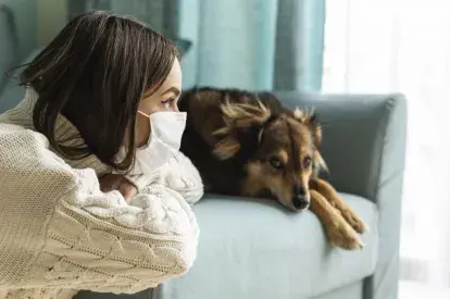 Transmisión del covid a las mascotas