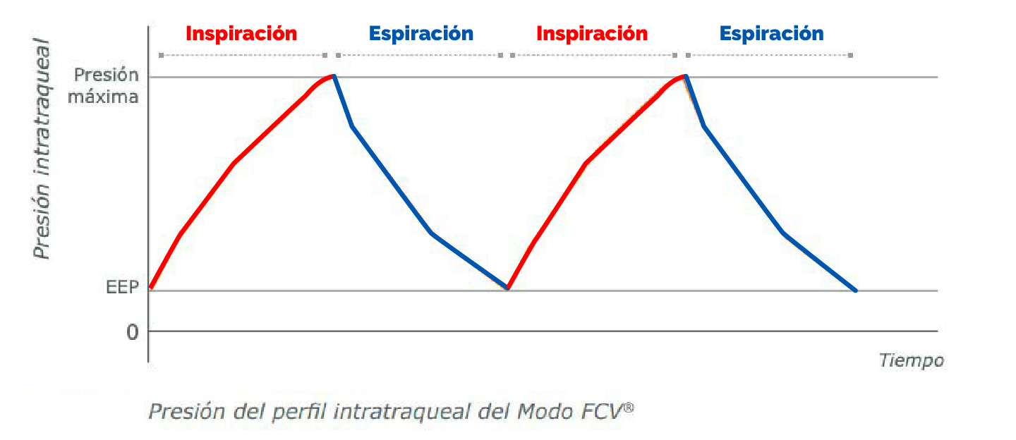 Gráfico EVONE