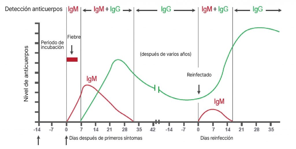 Test Rapido Covid 19 Igg Igm Ies Medical