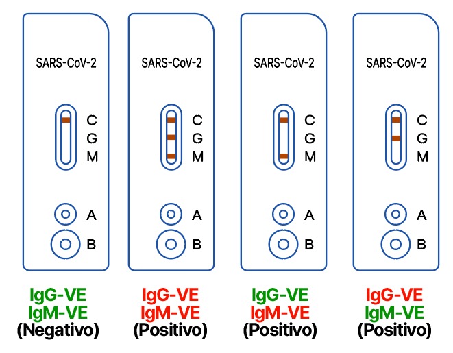 Test Rapido Covid 19 Igg Igm Ies Medical