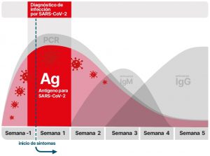 Gráfica diagnostico covid