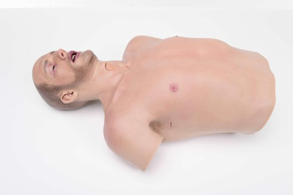 Torso de simulación ultrarrealista adulto hombre